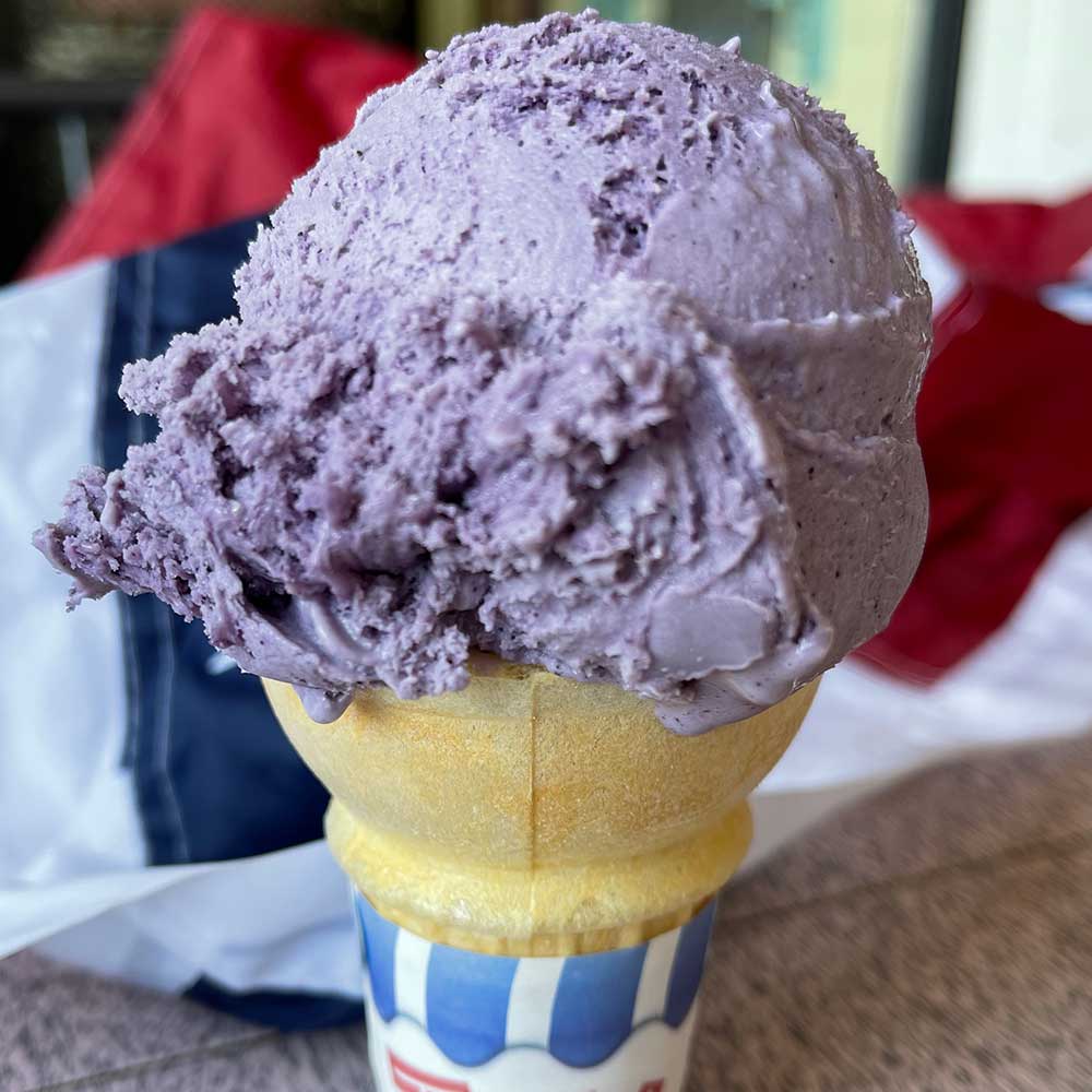 Blueberry