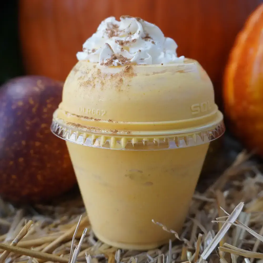 Pumpkin Pie