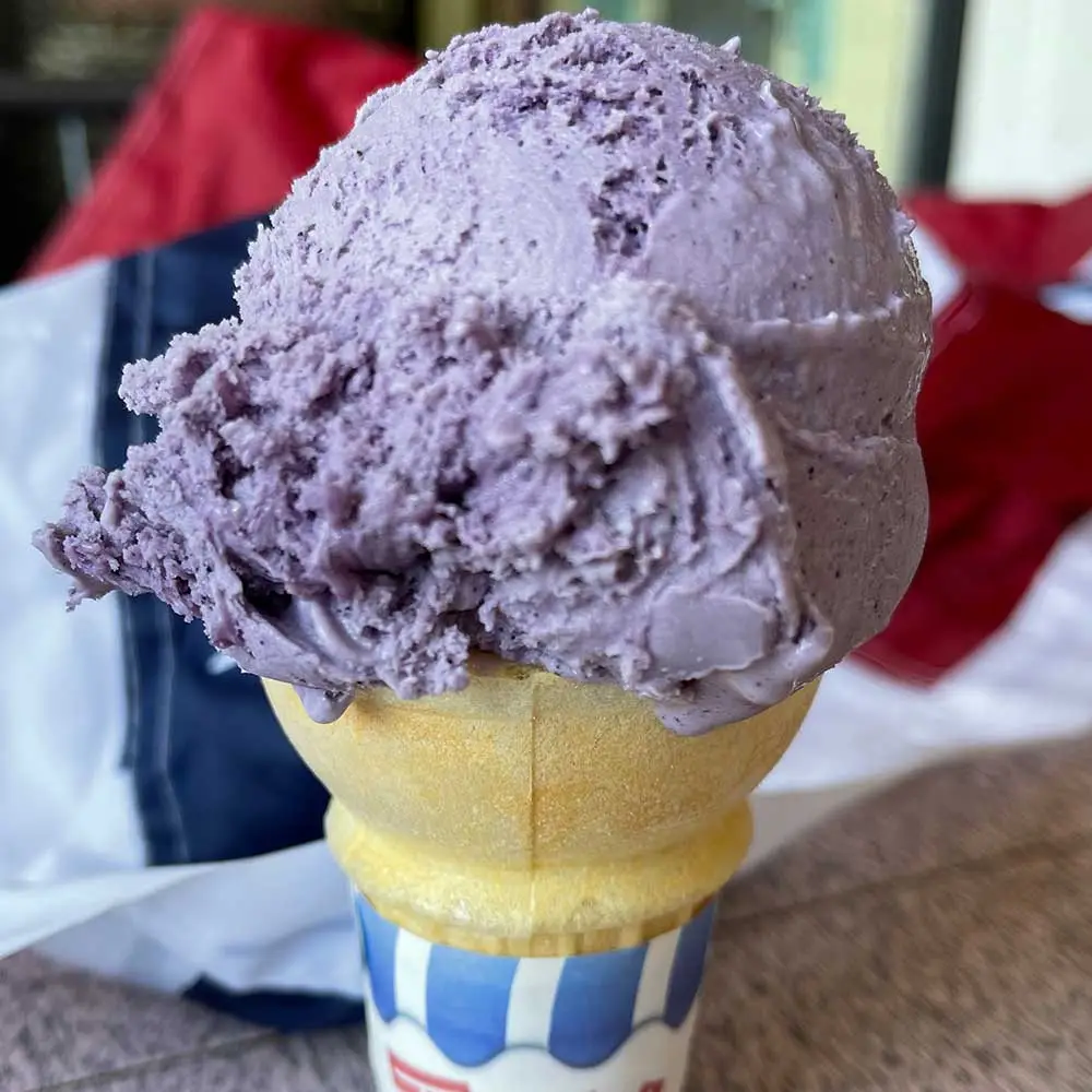 Blueberry